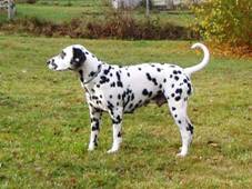 Cecilie Te�kovan� sv�t